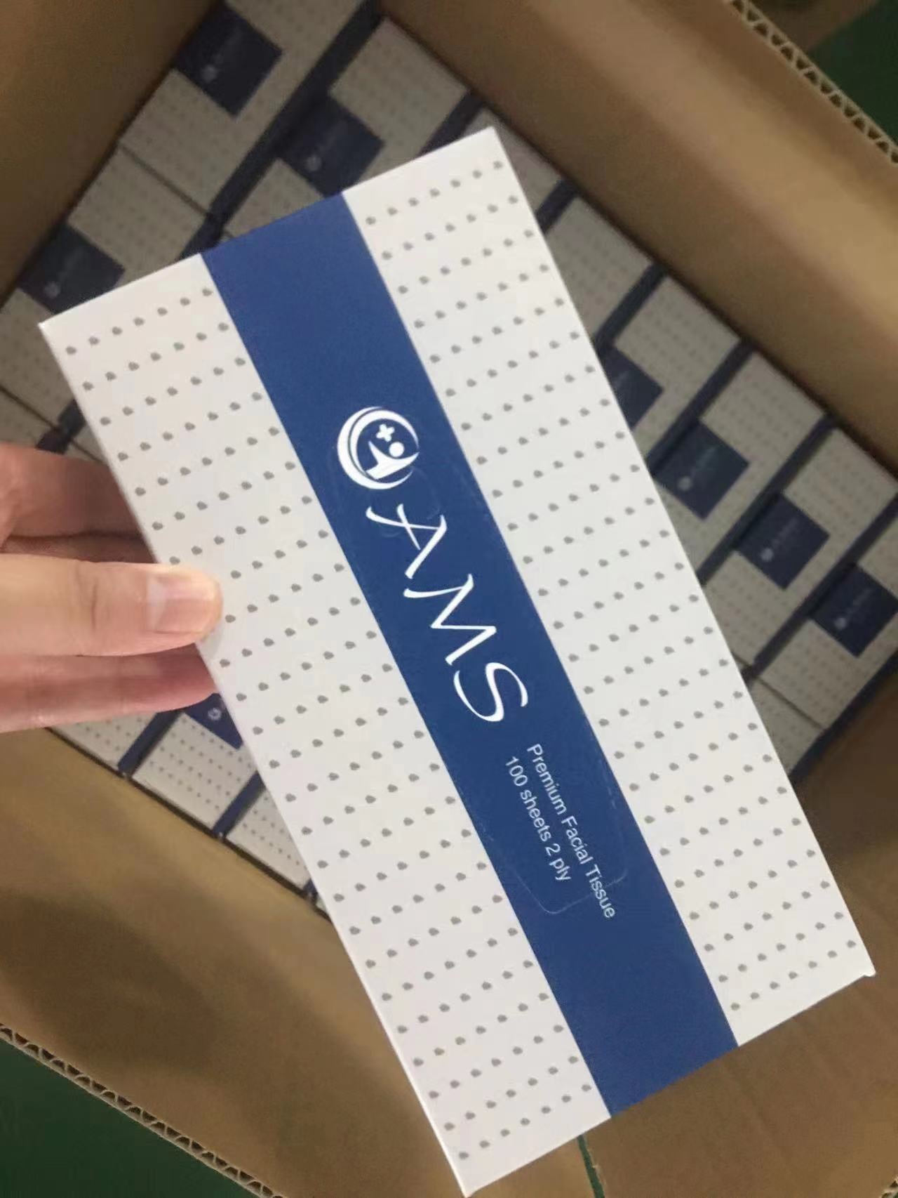 AMS Commercial Box Facial Tissue (48 boxes) ACE MEDICAL SUPPLIES